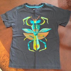 Boys 7 Tea Collection T Shirt